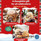 🥳 Mega Sale 60%OFF🎁Cute Cartoon Highland Cow Cuddly Toy🔥Buy 2 Free Shipping