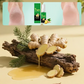 7-Day Ginger Foot Exfoliating Spray